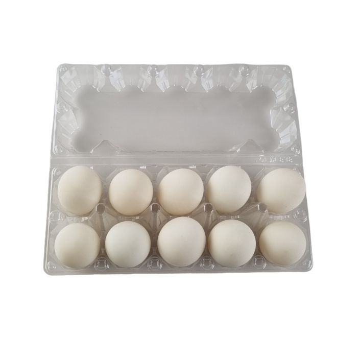 Free-range organic duck eggs 10 piece