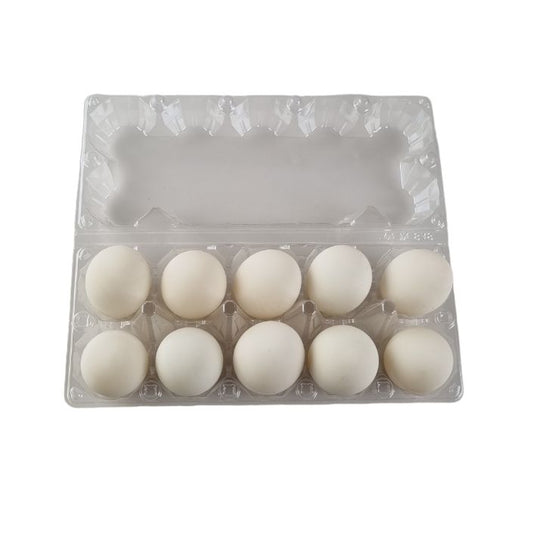 Free-range organic duck eggs 10 piece