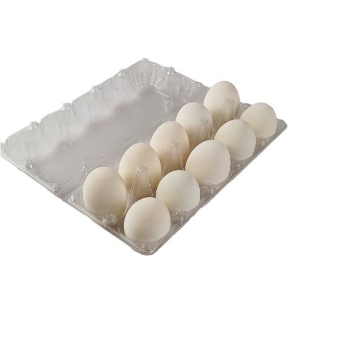Free-range organic duck eggs 10 piece